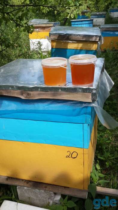 Продаю мёд и продукты пчеловодства, фотография 1