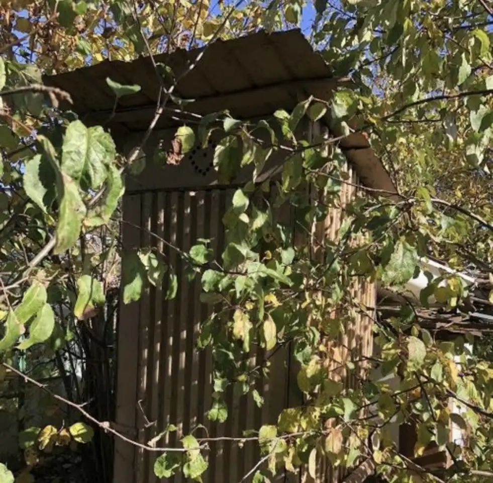 Продам дачный участок в 7 км от Ольшанки Гродно, фотография 5