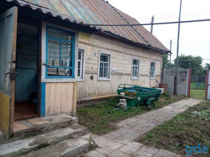 Большой участок с домом в д. Грабовка, фотография 6