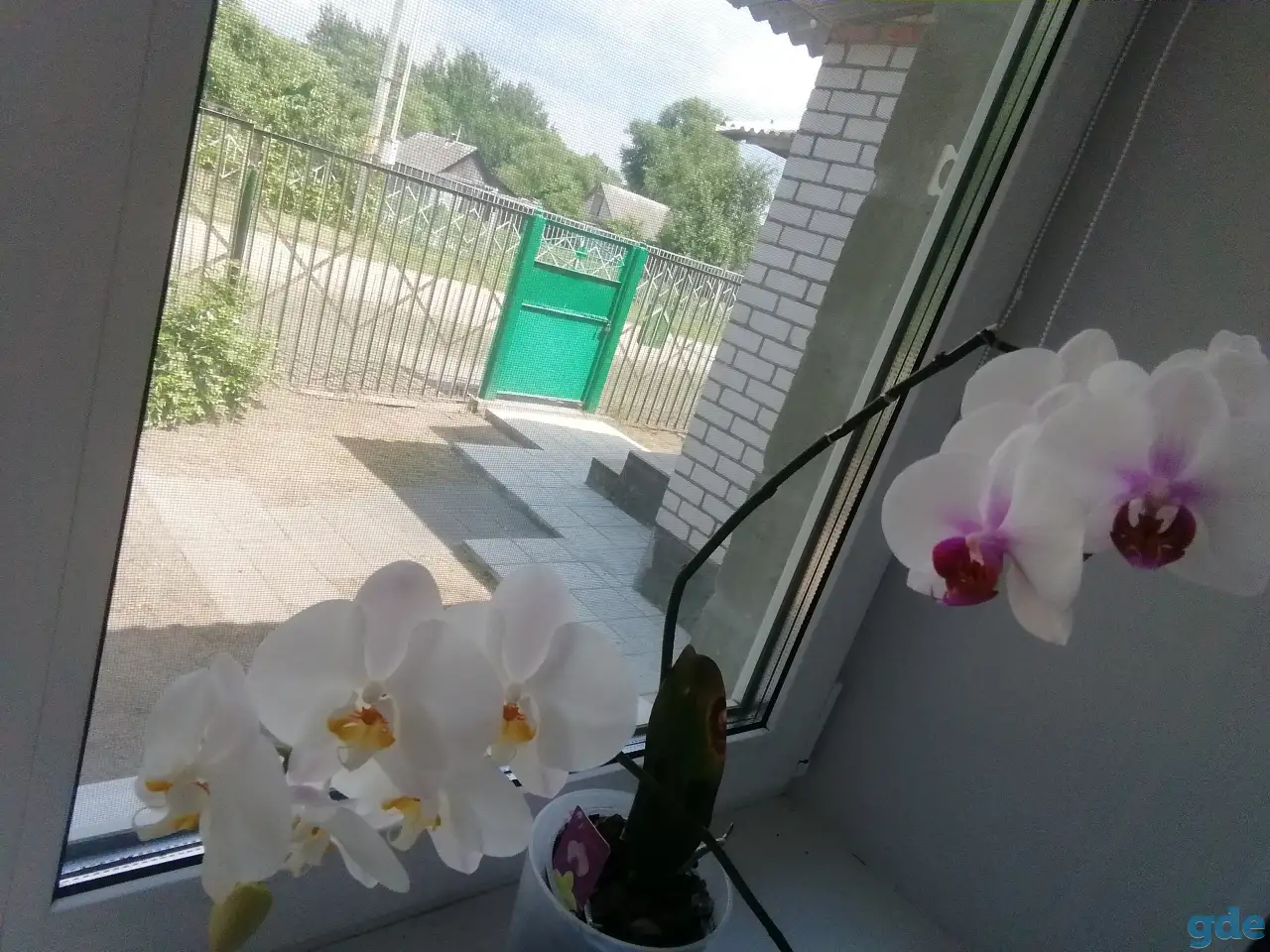 Продаётся кирпичный дом, Могилёвская область. Кличевский район, фотография 3