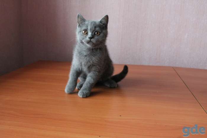 2 парня и 2 девчонки ., фотография 3