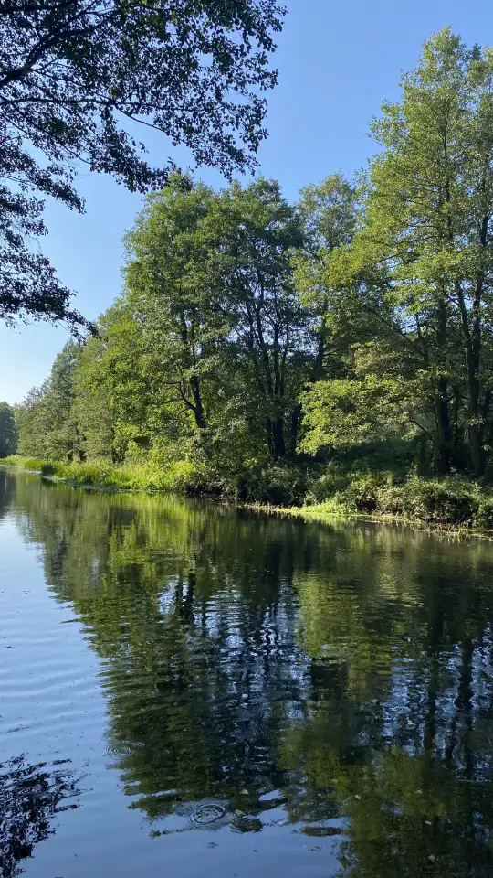 Продаётся дача на берегу реки Нарочанка, д. Кордон Вилейский район, фотография 11
