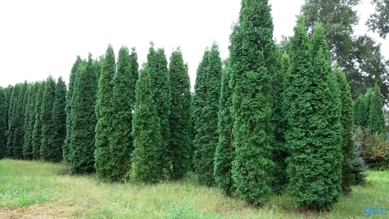Нуждаюсь в разнорабочиъ, фотография 1