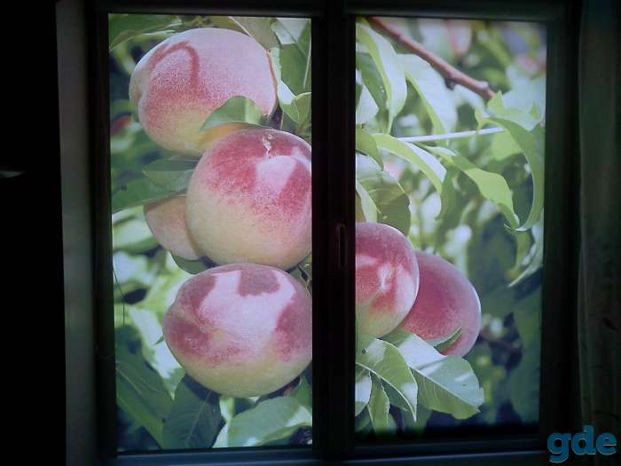 Фотопечать рольшторы/жалюзи, фотография 9