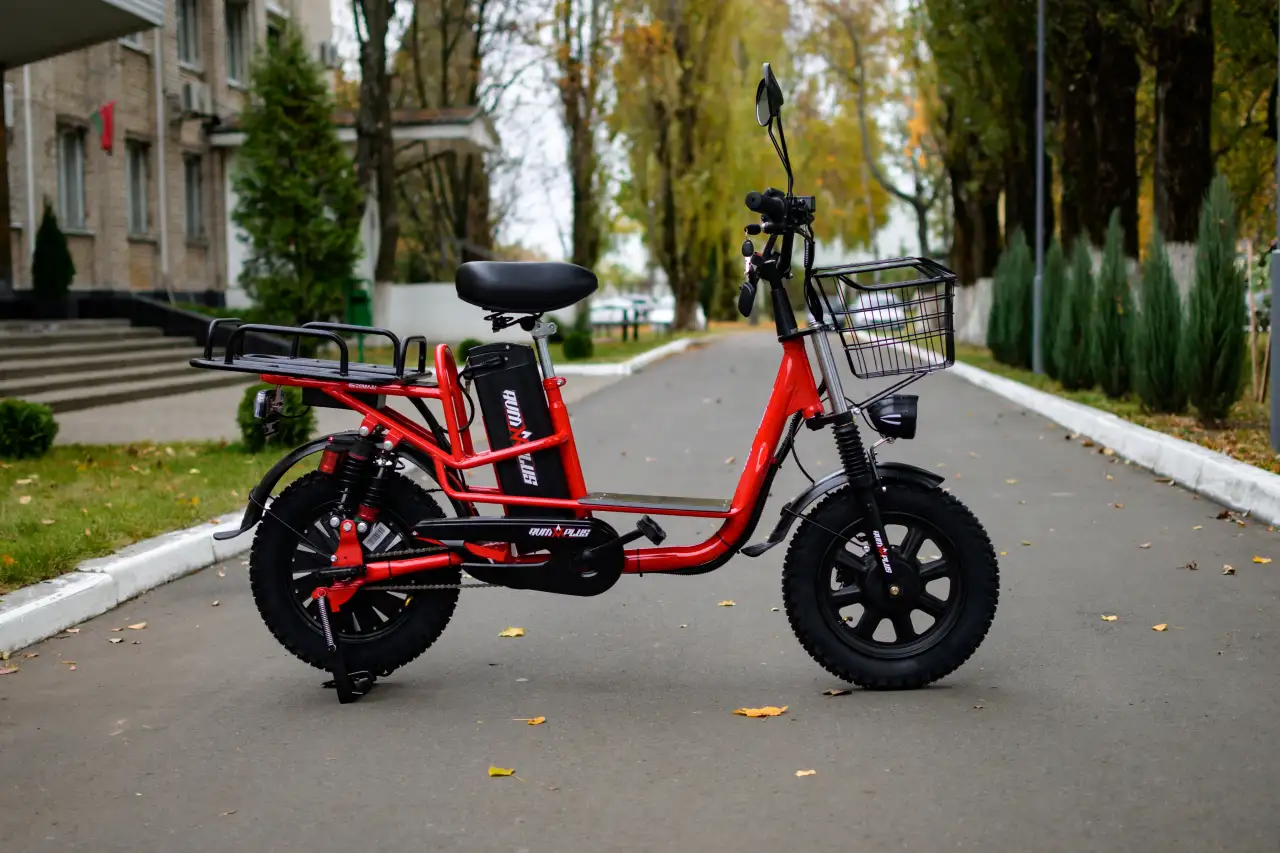Электровелосипед AVM E-ALFA Fat, фотография 4