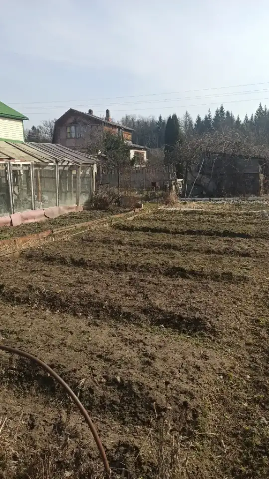 Дача в СТ Дубок, фотография 4