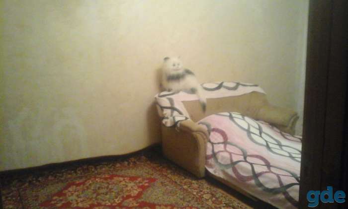 Продам 3-комнатную квартиру в г. Глуск, фотография 5