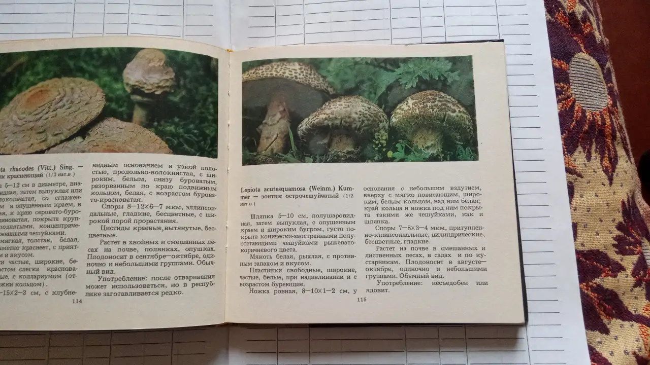 Книга о грибах Макромицеты, фотография 3