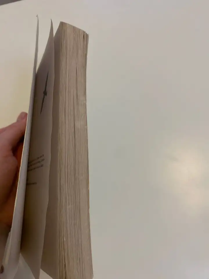 Книга стратегия жизни Святослав Бирюлин, фотография 7