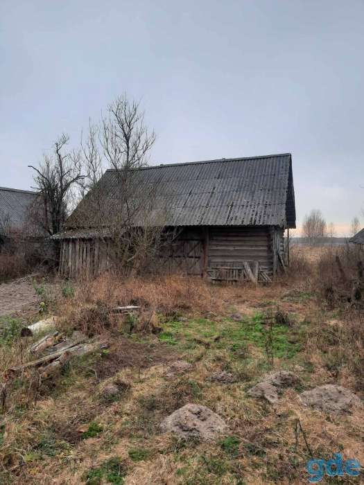 Дом, Доброволя. Свислочский район, Гродненская область., фотография 7