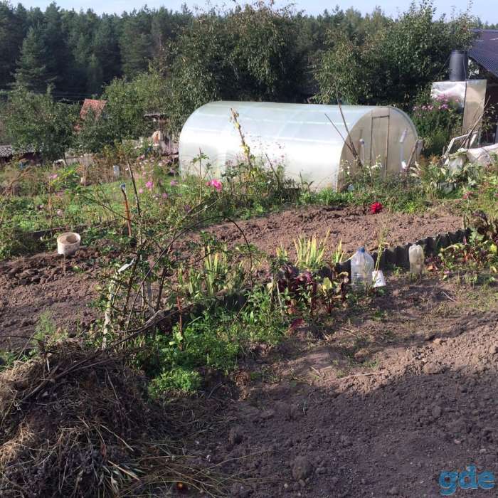 Дача, Гродненская область, Немейши, фотография 3