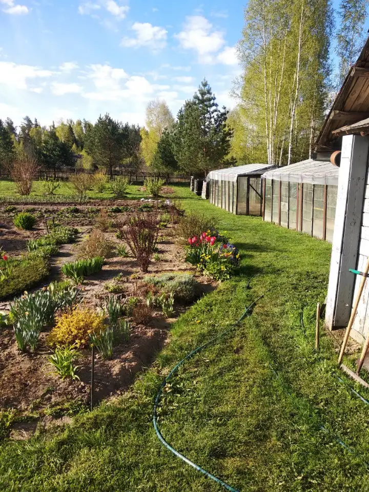 Продам дом в деревне Щелбово, Городокский район,Витебская область, фотография 10