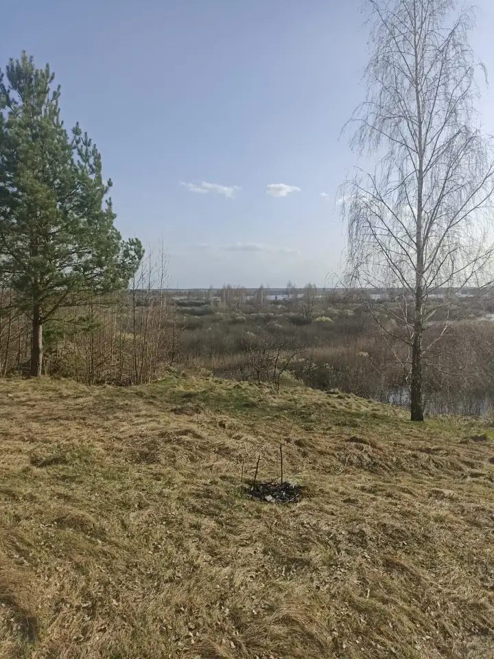 Дом д.Белановичи 20соток, фотография 4