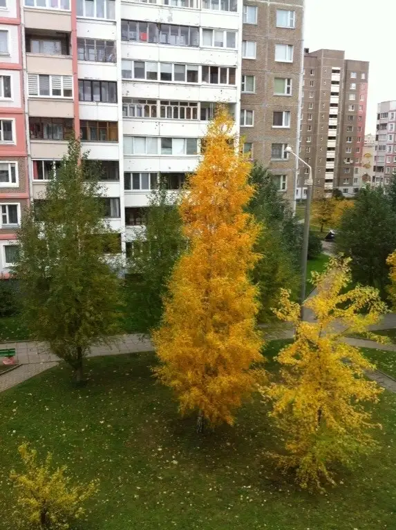 Сдам комнату  Горецкого 19, фотография 4