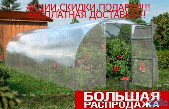 Теплица Престиж, фотография 1