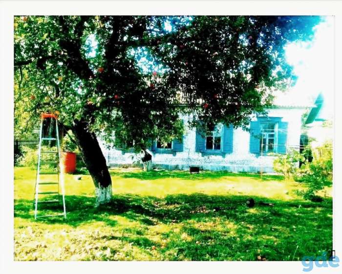 Продам дом в Гомеле, Джураева, фотография 2