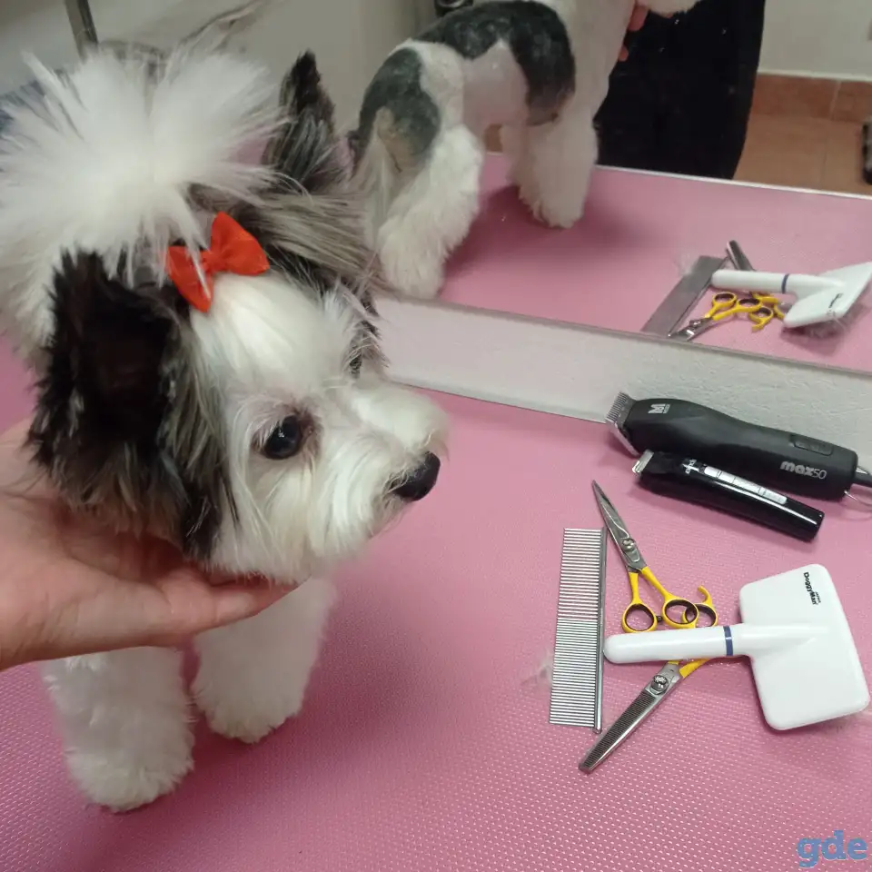 ✂️, фотография 4