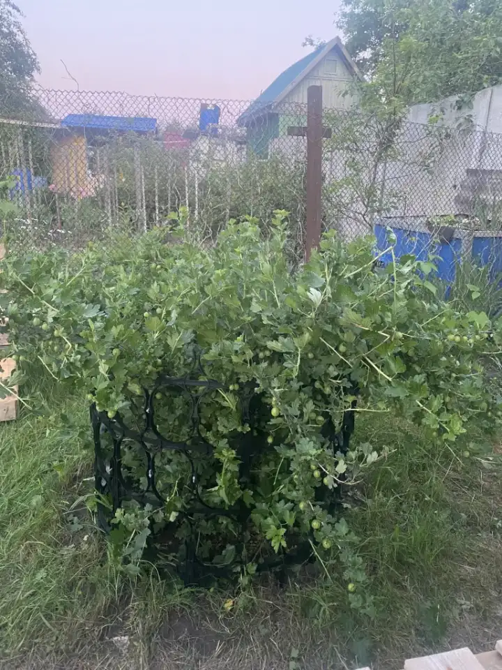 Каркас для куста, фотография 1