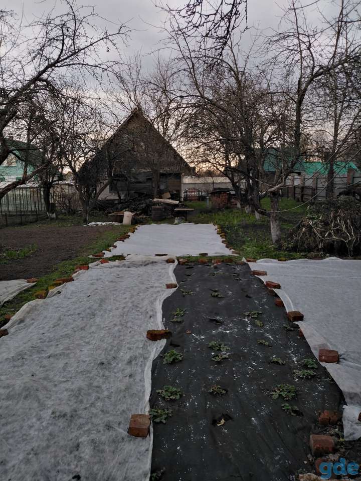 Продаю дачу, фотография 9