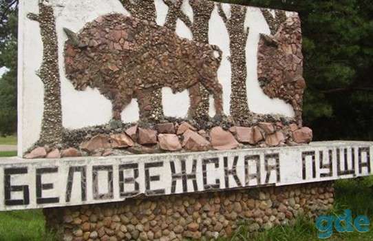 Туристические услуги, фотография 1