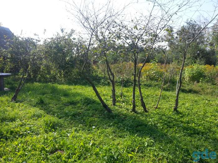Продам участок 10 соток, 21 км от МКАД., с/т Лесное, фотография 5