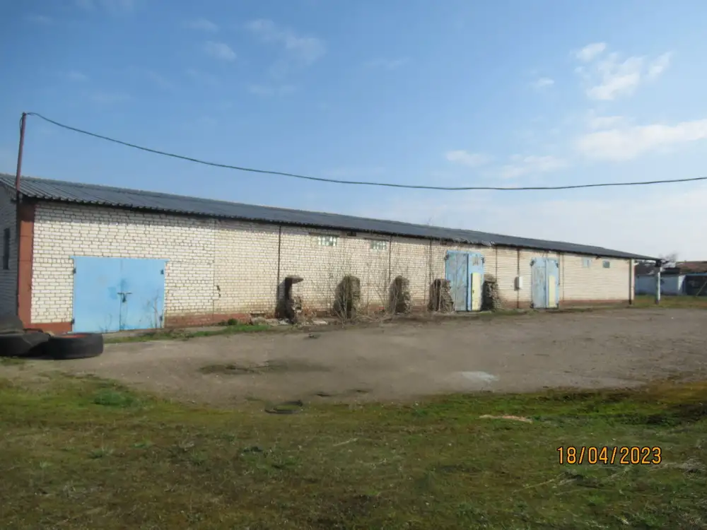 Комплекс объектов свинотоварной фермы на 1000 голов под Минском, фотография 3
