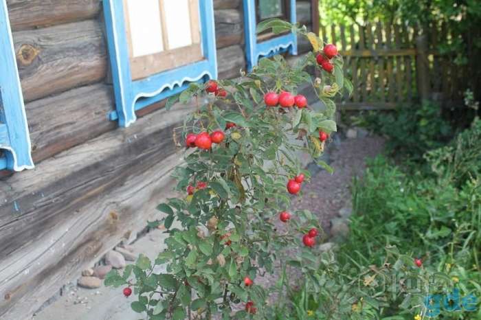 Продам дом в деревне Романовка, фотография 1