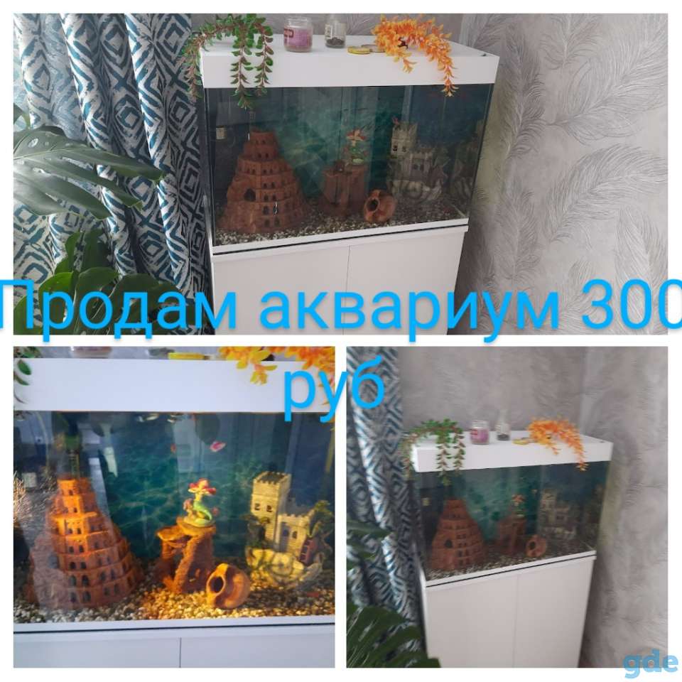 Аквариум, фотография 1