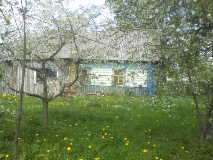 Дом, участок 19 соток,сад.  г.Чериков, Могилевская обл, фотография 3