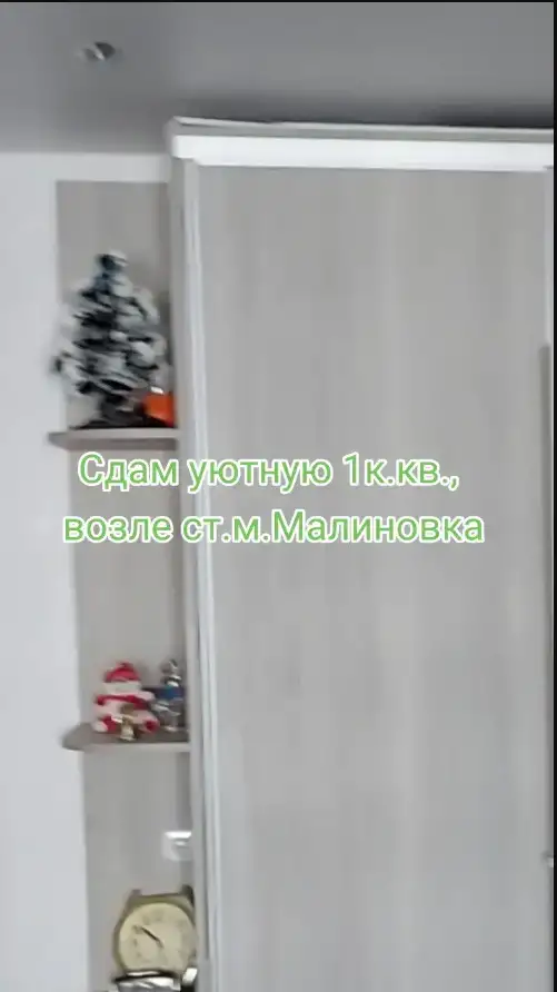 Сдаётся уютная 1к. кв.на длительный срок, до метро МАЛИНОВКА 10 мин пешком, фотография 13