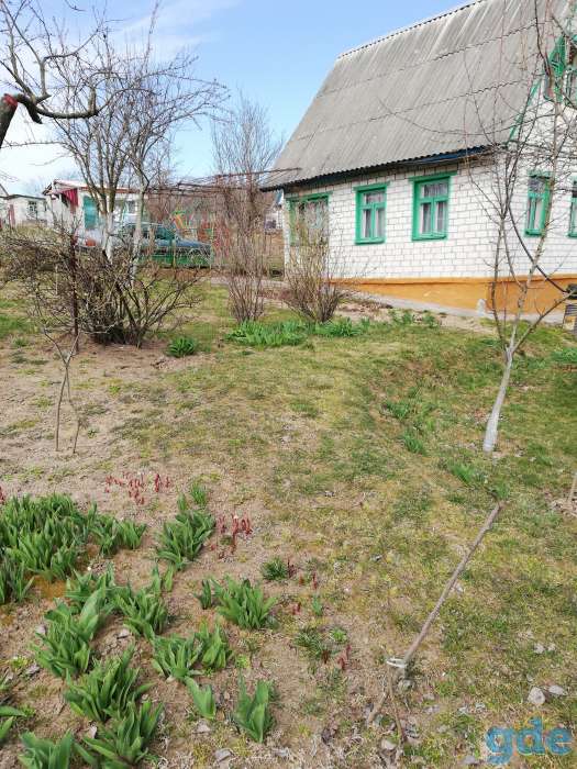 Продам дачу, с/т Верасы, Коптевский с/с, р-н д.Гривки, 8 км от Южного рынка., фотография 3