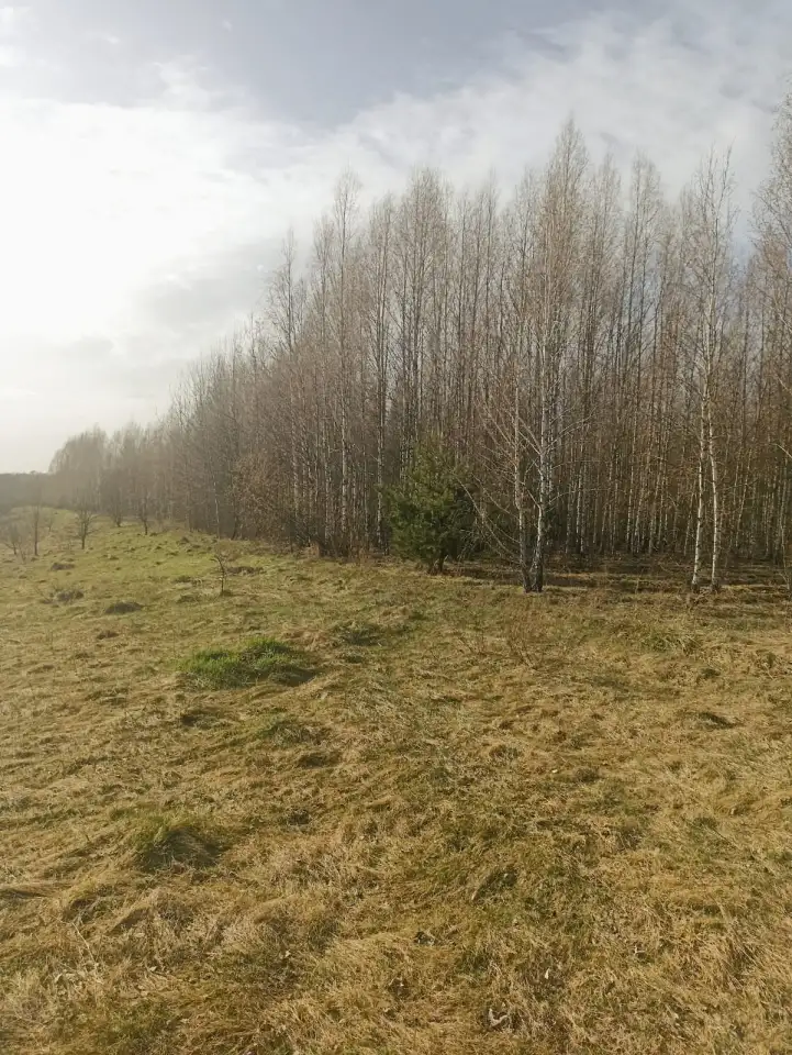 Дом д.Белановичи 20соток, фотография 2
