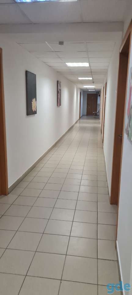 Помещение под сферу услуг, офис,, Скрыганова,2, фотография 1