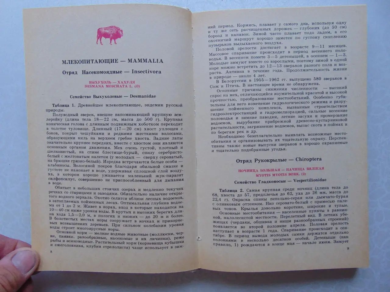 Они не должны исчезнуть. Животные, Растения, Минск, Народная Асвета,1987 год, Дорофеева, Сюборова, фотография 10