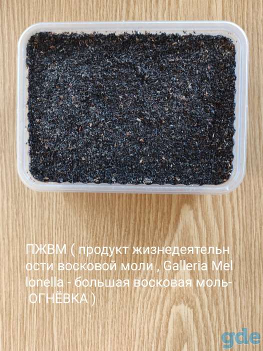 Огневка , ПЖВМ , пчелиное мумиё , мёд с экстрактом пчелиного мумиё., фотография 2